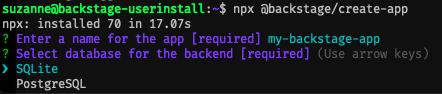 Screenshot of the wizard asking for a name for the app, and a selection menu for the database.